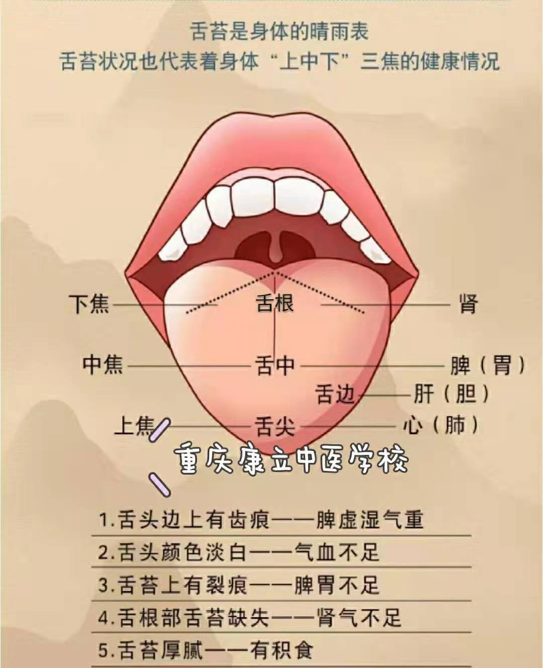 7e8af83d50eb456fd94b5d2ff735b55f.jpg