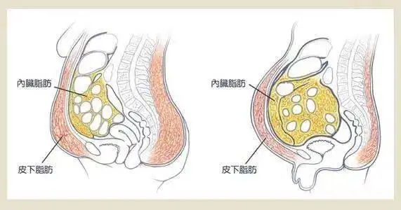 1654155760945594.jpg 53.jpg